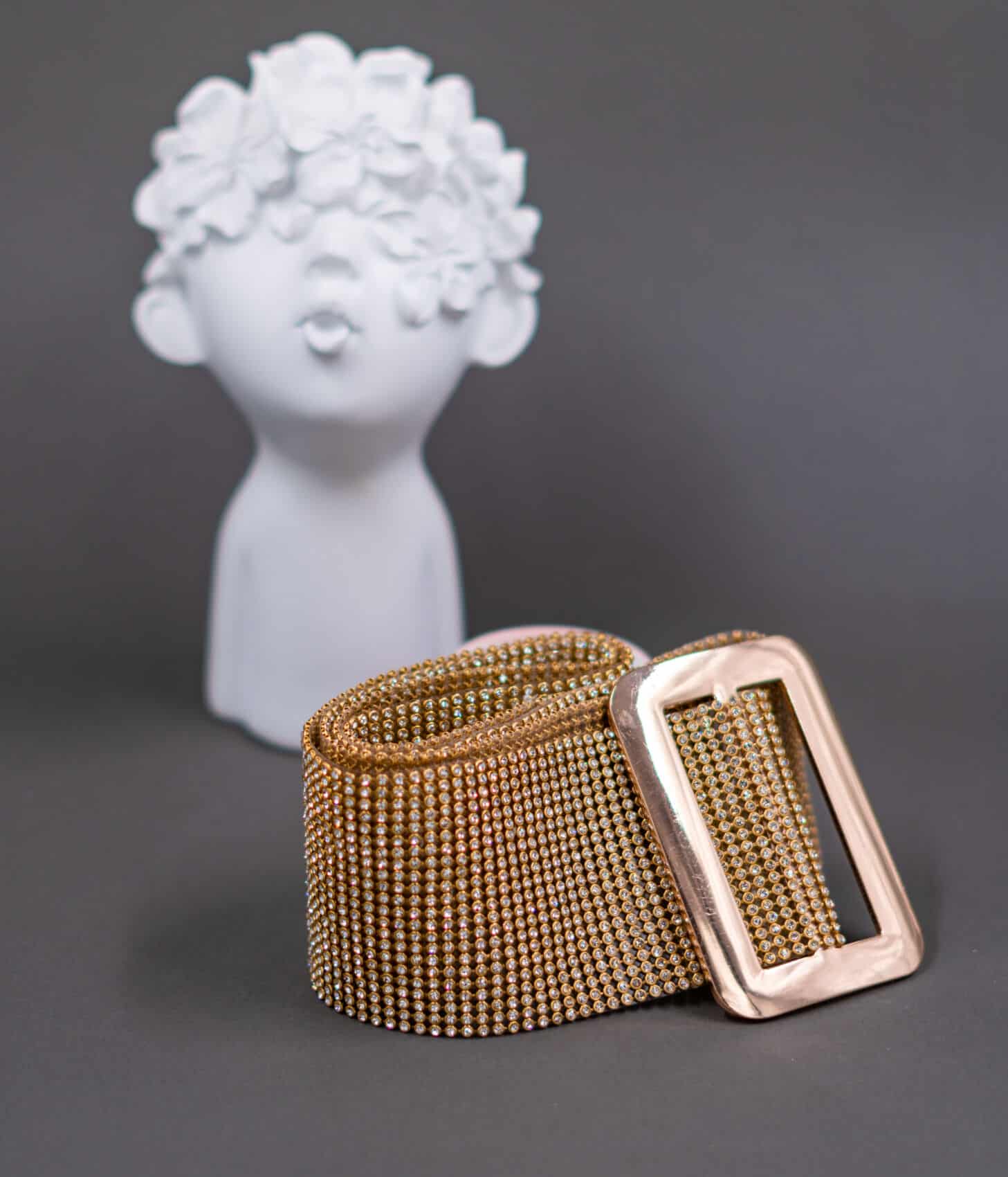 DSC02453.jpg Glam Belt - Imagen 1